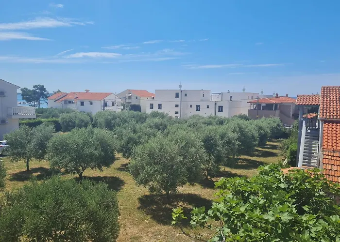 Tomislav Apartamento Vir